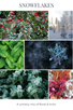 eco beans SNOWFLAKES