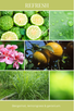eco essentials candle REFRESH