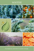 eco essentials candle SOOTHE