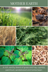 home fragrance oil MOTHER EARTH