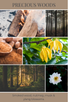 home fragrance oil PRECIOUS WOODS