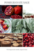 holiday mason POMEGRANATE SAGE