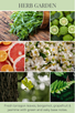 room & linen spray HERB GARDEN