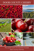 tea light 10pk DOOR COUNTY CHERRY