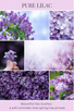 tea light 10pk PURE LILAC