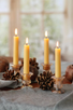 beeswax tapers CELEBRATION