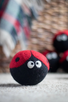 eco dryer ball LADYBUG