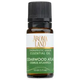 essential oil CEDARWOOD, ATLAS