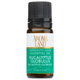 essential oil EUCALYPTUS GLOBULUS