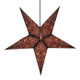 paper star lantern WILD