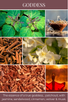GODDESS scent description: The essence of a true goddess... patchouli with jasmine, sandalwood, cinnamon, vetiver & musk.