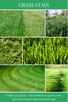 GRASS STAIN scent description: Fresh cut grass - the smell that surrounds you on a warm, lazy summer day.