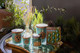 Sunshine peeks through a background window and shines down on a display of Eco Winter Wonderland candles, tea lights, eco beans, and a reed diffuser. Pine cones and evergreen embellish the background. Sunshine peeks through a background window and shines down on a display of Eco Winter Wonderland candles, tea lights, eco beans, and a reed diffuser. Pine cones and evergreen embellish the background.