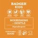badger mineral sunscreen SPF35 KIDS FACE STICK