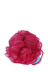 net sponge RASPBERRY