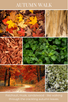 18oz AUTUMN WALK
