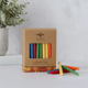 beeswax HANUKKAH CANDLES MULTICOLORED