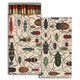matches MIXED BEETLES