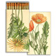 matches POPPY & GERBER DAISY