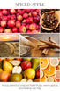 holiday mason SPICED APPLE