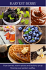 home fragrance oil HARVEST BERRY
