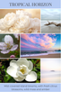 home fragrance oil TROPICAL HORIZON