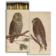 matches TWO OWLS
