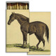 matches A HORSE