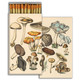 matches FORAGED MUSHROOMS