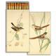 matches BRITISH BIRDS