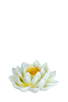 incense burner WHITE LOTUS