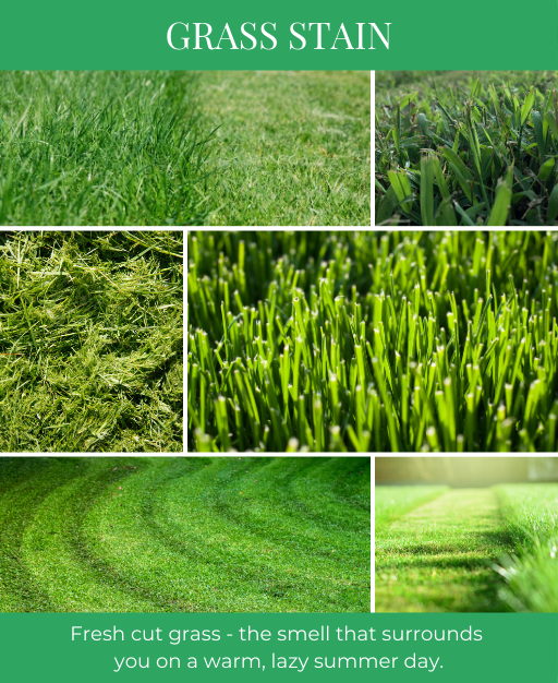 Grass Stain