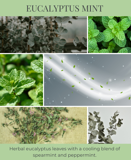 Eucalyptus Mint