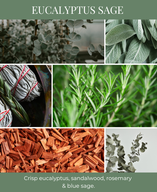 Eucalyptus Sage