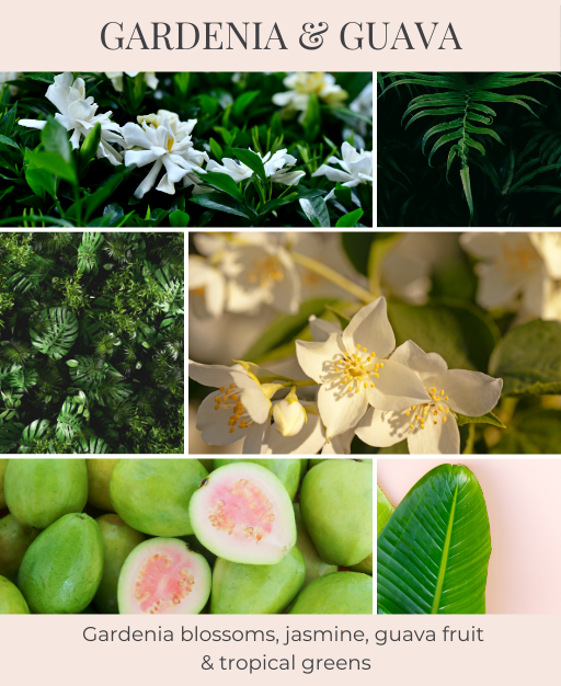 Gardenia & Guava