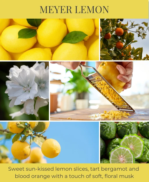 Meyer Lemon