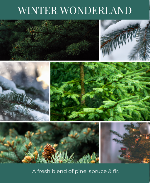 Winter Wonderland