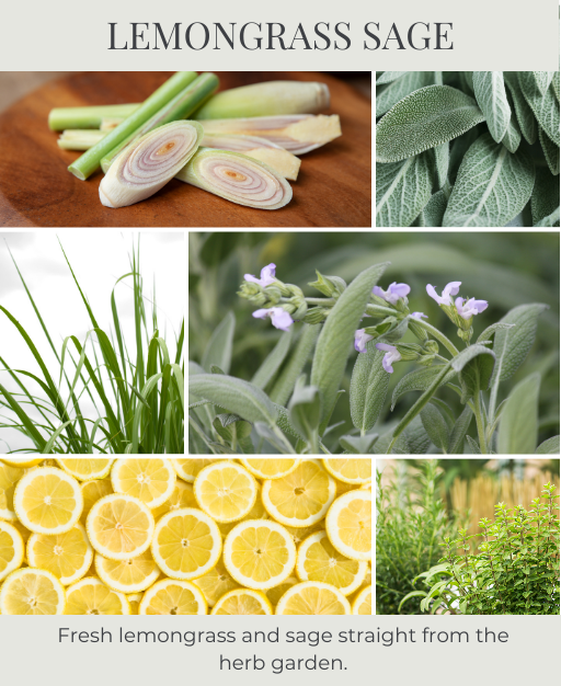 Lemongrass Sage