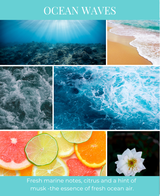 Ocean Waves
