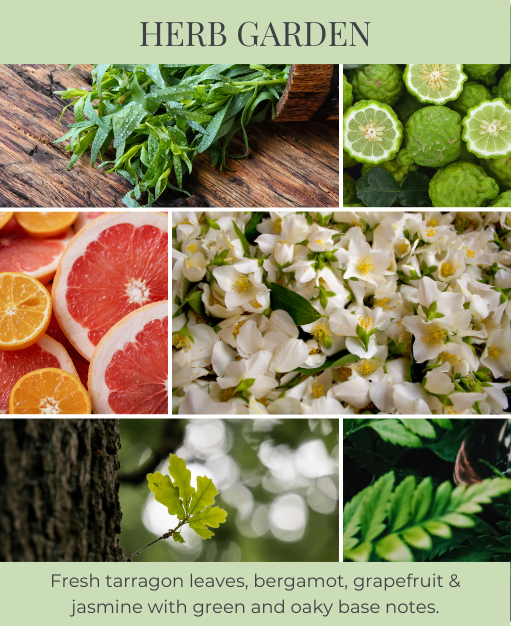 Herb Garden