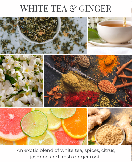 White Tea & Ginger