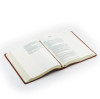 Hosanna Revival Bible - Vienna Theme LARGE Print - KJV Notetaking Bible