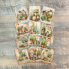 Rustic Succulents Journaling Cards - Knowing Jesus- 12 Unique-3x4 Journaling Cards
