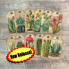 Desert Botanical Die Cut Tags for Knowing Jesus