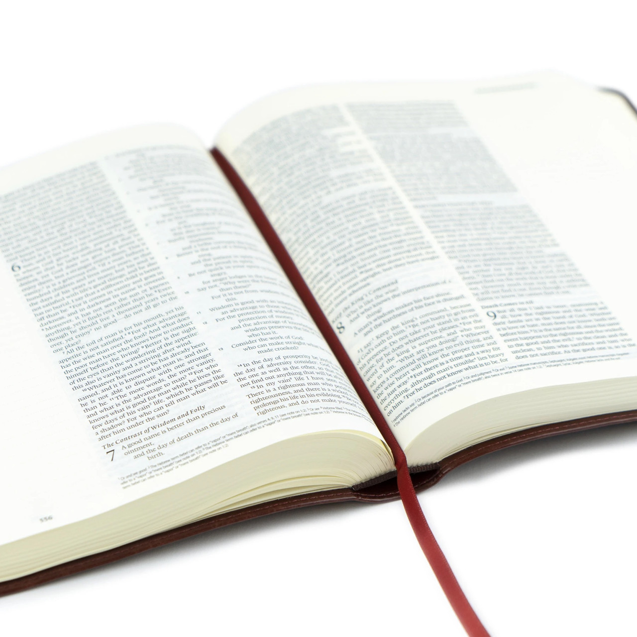 Hosanna Revival Bible - Yorkshire Theme - ESV Journaling Bible