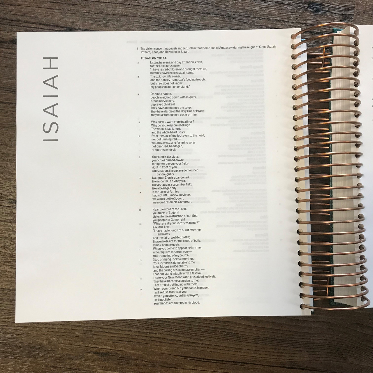 CSB Illustrating Bible (Spiral Bound, Green)