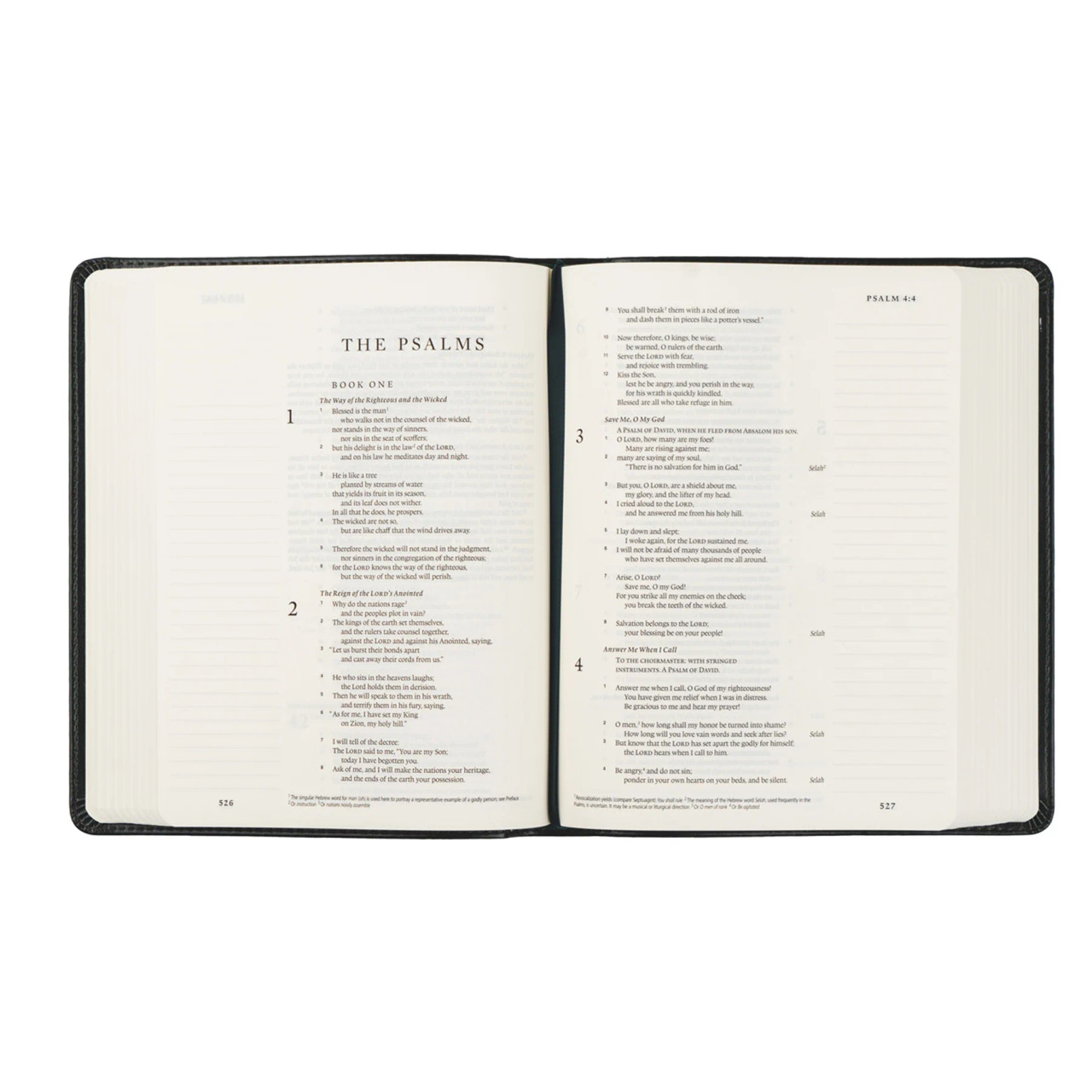 Hosanna Revival Bible - Hyde Park Theme - ESV Journaling Bible