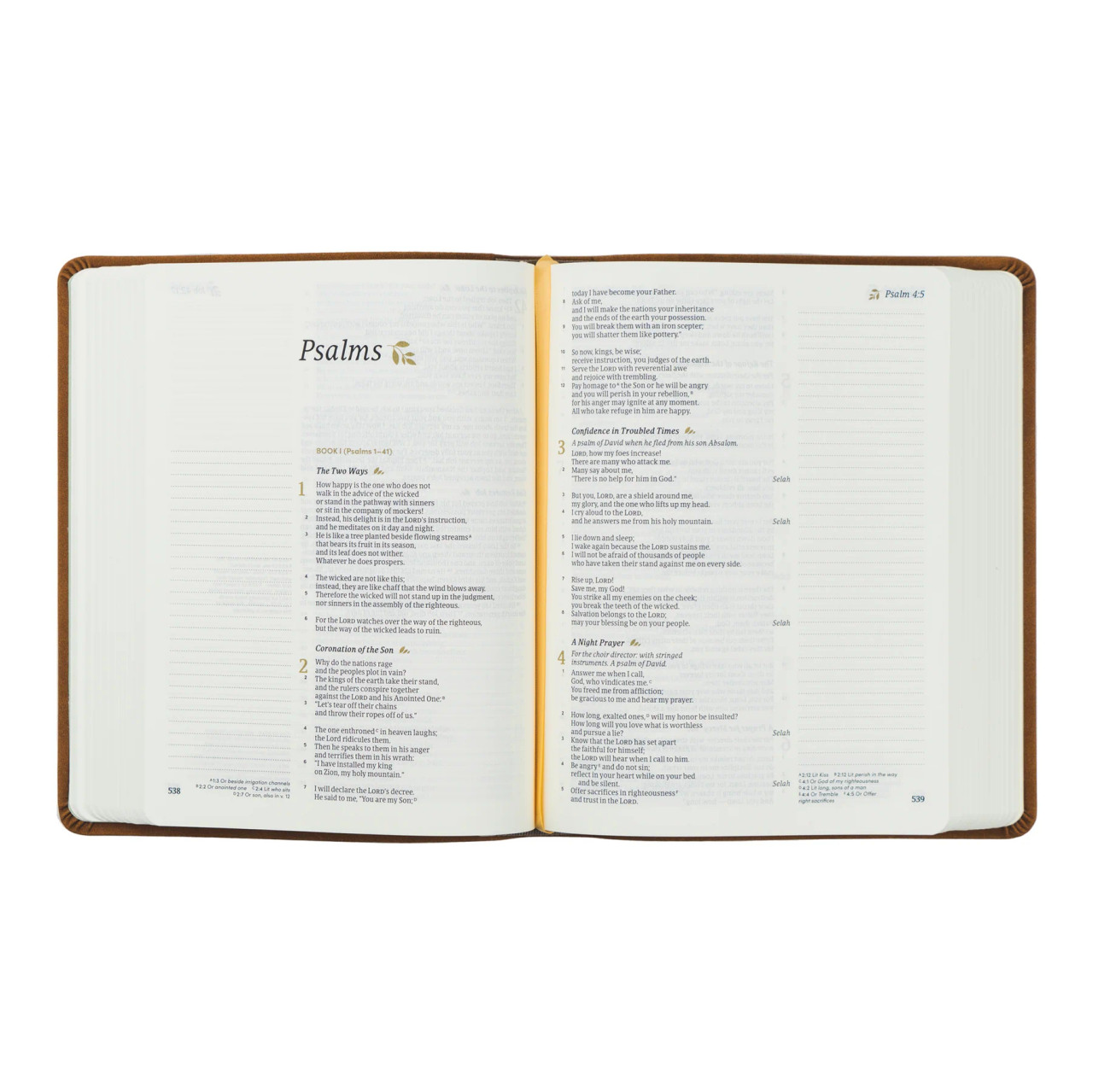 Hosanna Revival Bible - Bristol Theme - CSB Notetaking Bible