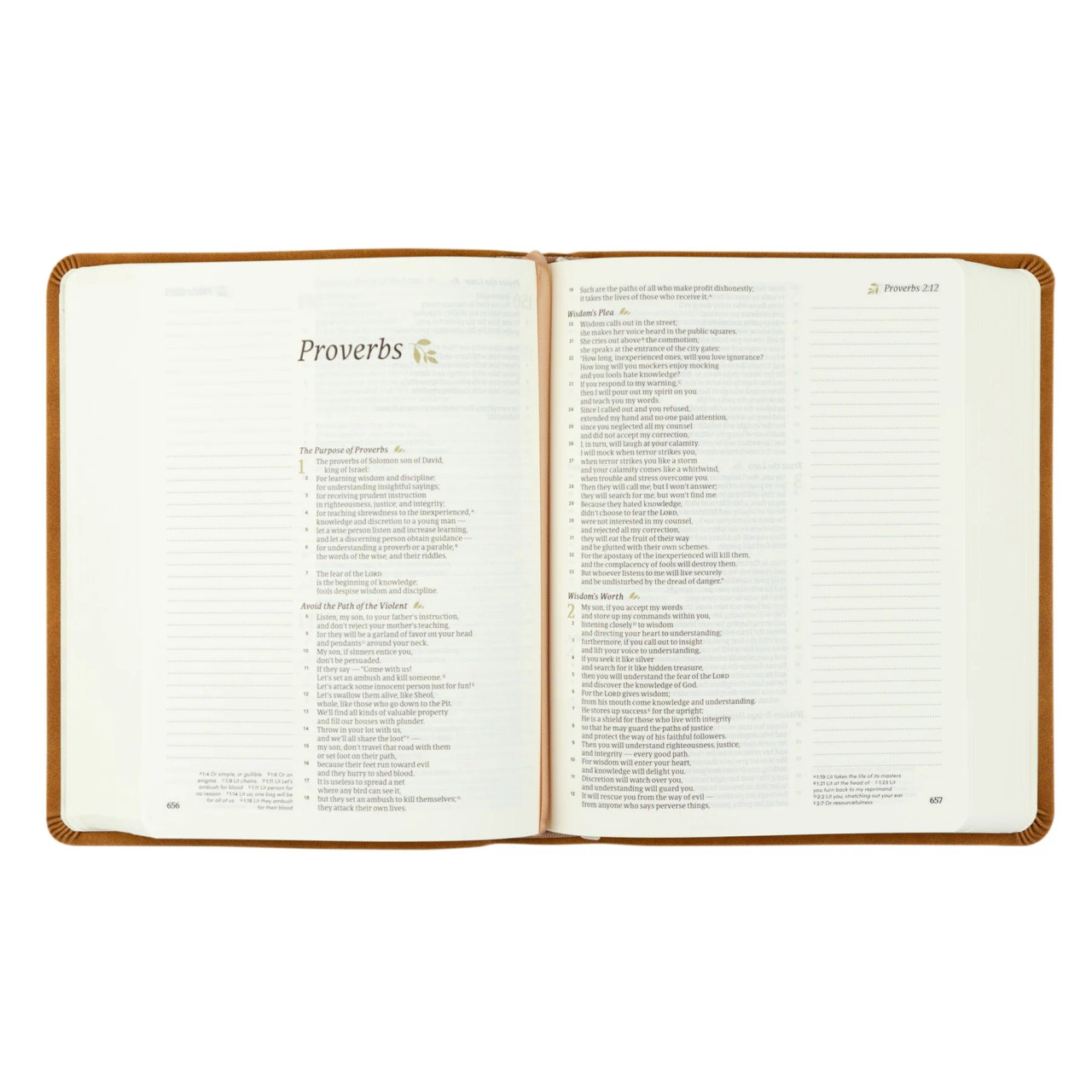 Hosanna Revival Bible - Amelia Theme - CSB Notetaking Bible