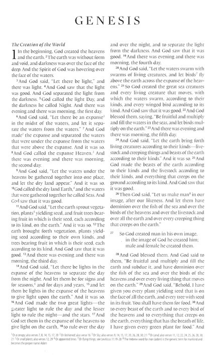 ESV Premium Gift Bible (TruTone, Brown) Imitation Leather